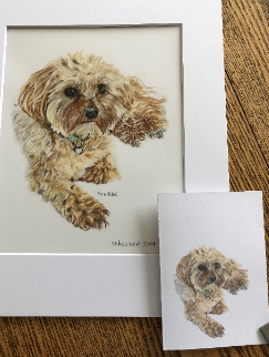 Custom Pet Pencil Portraits - by Mili
