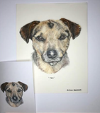 Custom Pet Pencil Portraits - by Mili