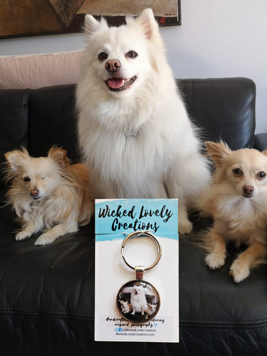 Custom Pet Photo Keychains