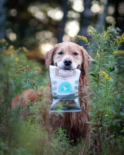 Hero Dog Treats - Duck Feet