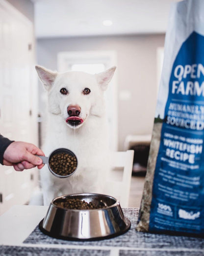 Open Farm Grain-Free Dry Dog Food - Whitefish Recipe