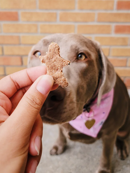 Treatoes Dog Treats - Gingerbread People Cookies