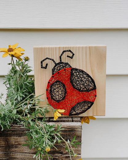 String Art Kits by Knot Really Art