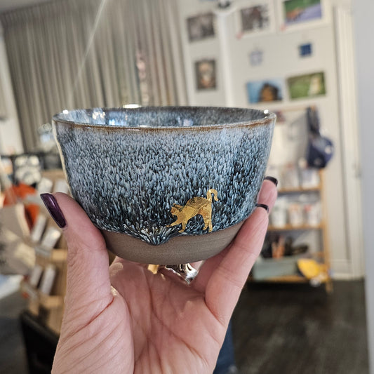 Ceramic Bowls