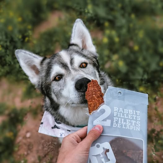 Hero Dog Treats - Fillets