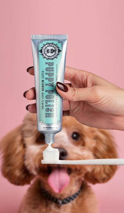 Puppy Polish - Filet Mignon (Beef) Toothpaste