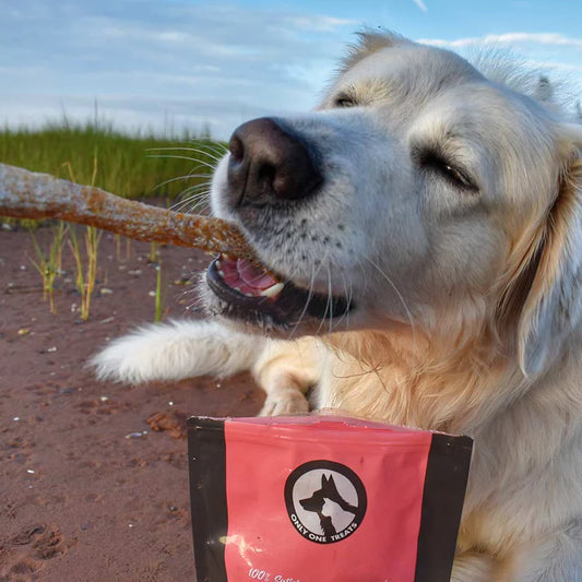 Only One Dog Treats