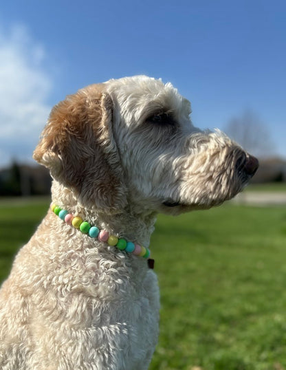 Bead Dog Collars