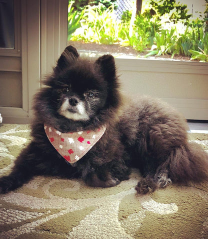 Reversible Dog Bandanas