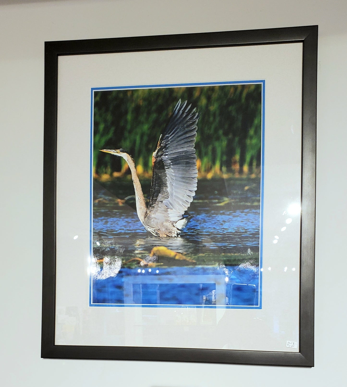 Nature Photo Prints - Framed