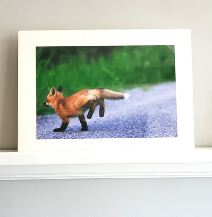 Nature Photo Prints - Whiteboard