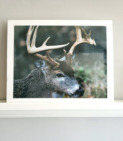 Nature Photo Prints - Whiteboard