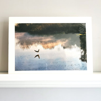 Nature Photo Prints - Whiteboard