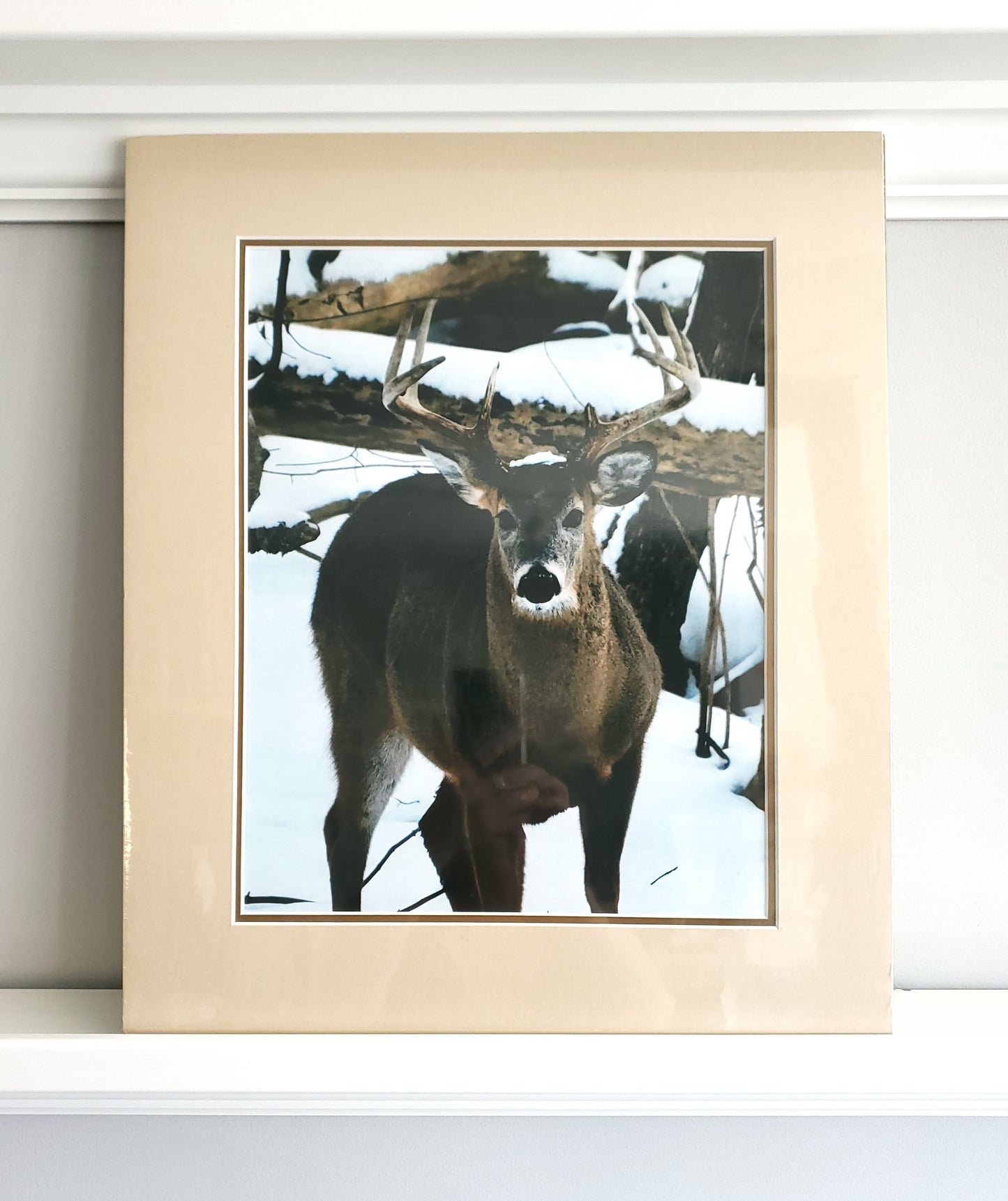 Nature Photo Prints - Matted
