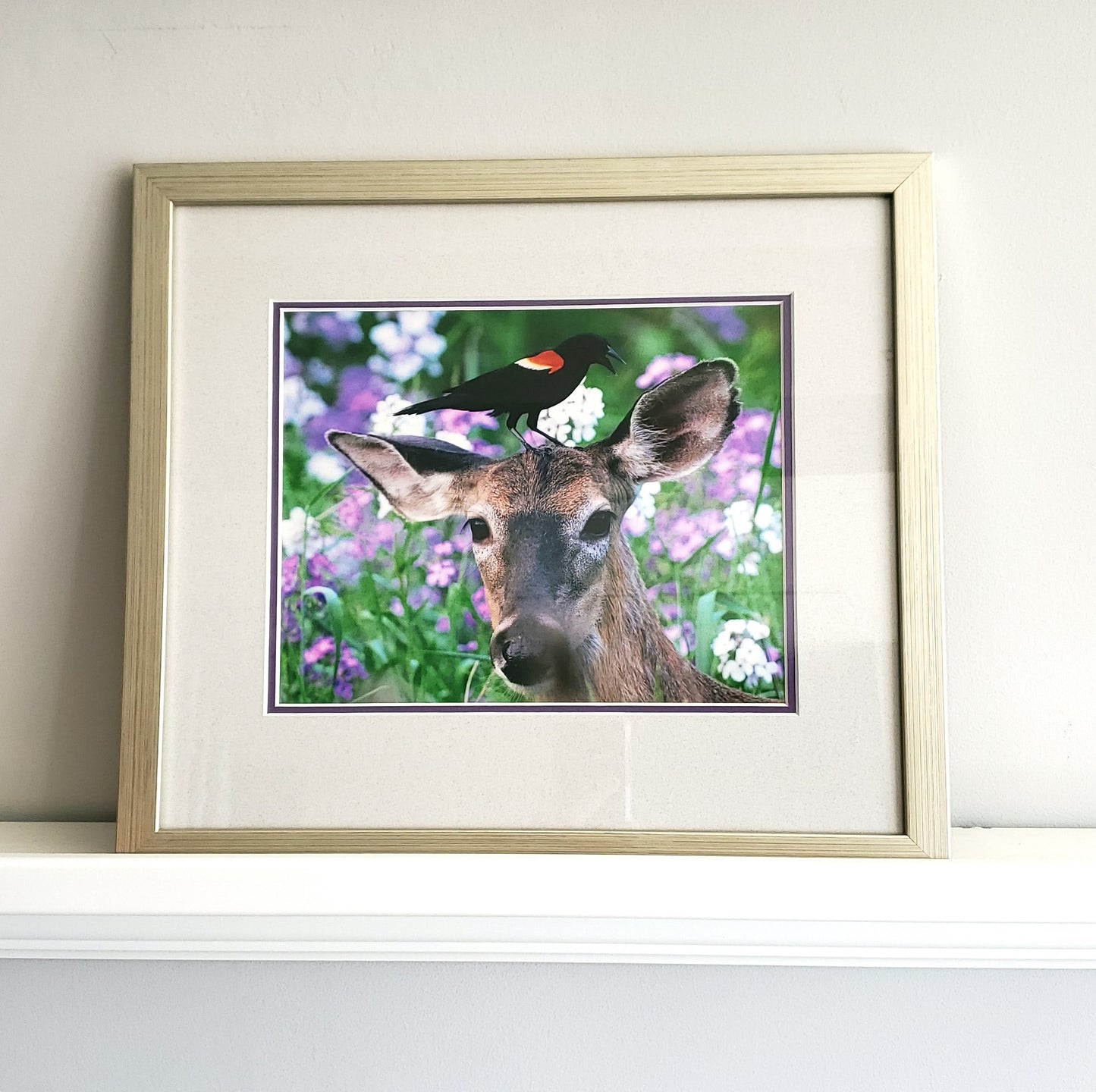 Nature Photo Prints - Framed