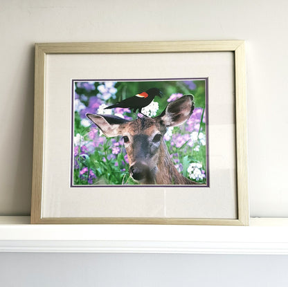 Nature Photo Prints - Framed