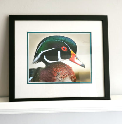 Nature Photo Prints - Framed