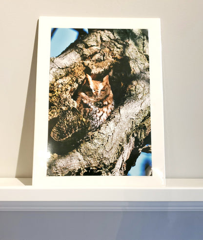 Nature Photo Prints - Whiteboard