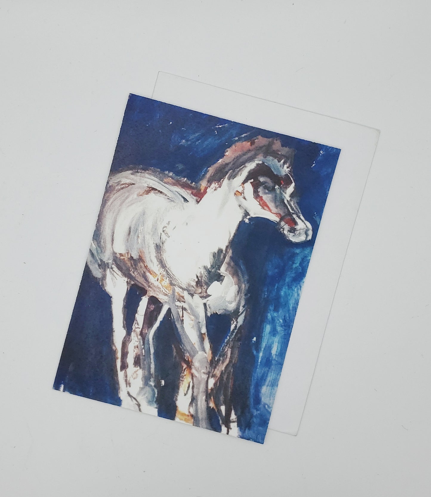 Greeting Cards - Rodeo St-Tite Series
