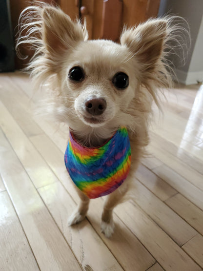 Reversible Dog Bandanas