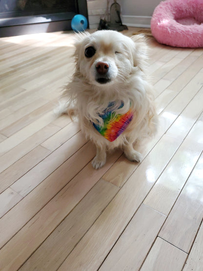 Reversible Dog Bandanas