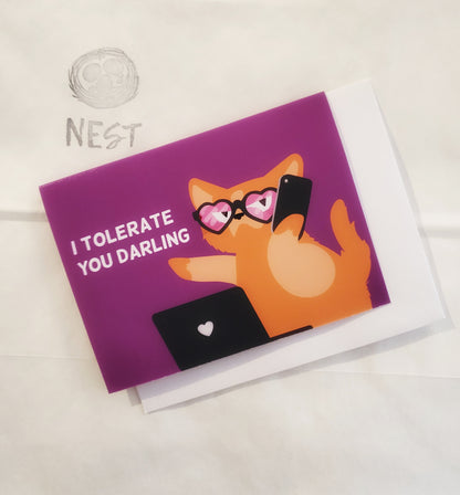 Nest Pop-Up! Greeting Cards