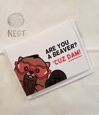 Nest Pop-Up! Greeting Cards