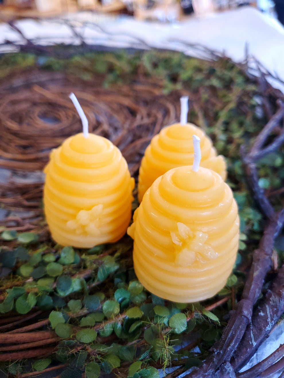 Beeswax Candles by Nest Nest Hamilton