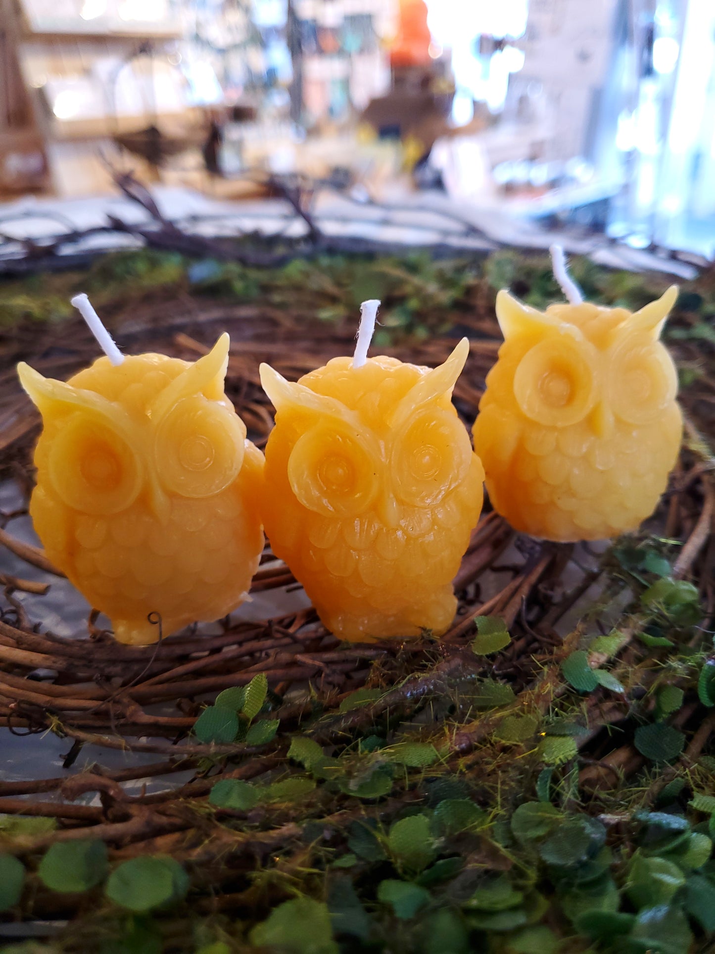 Beeswax Candles - by Nest