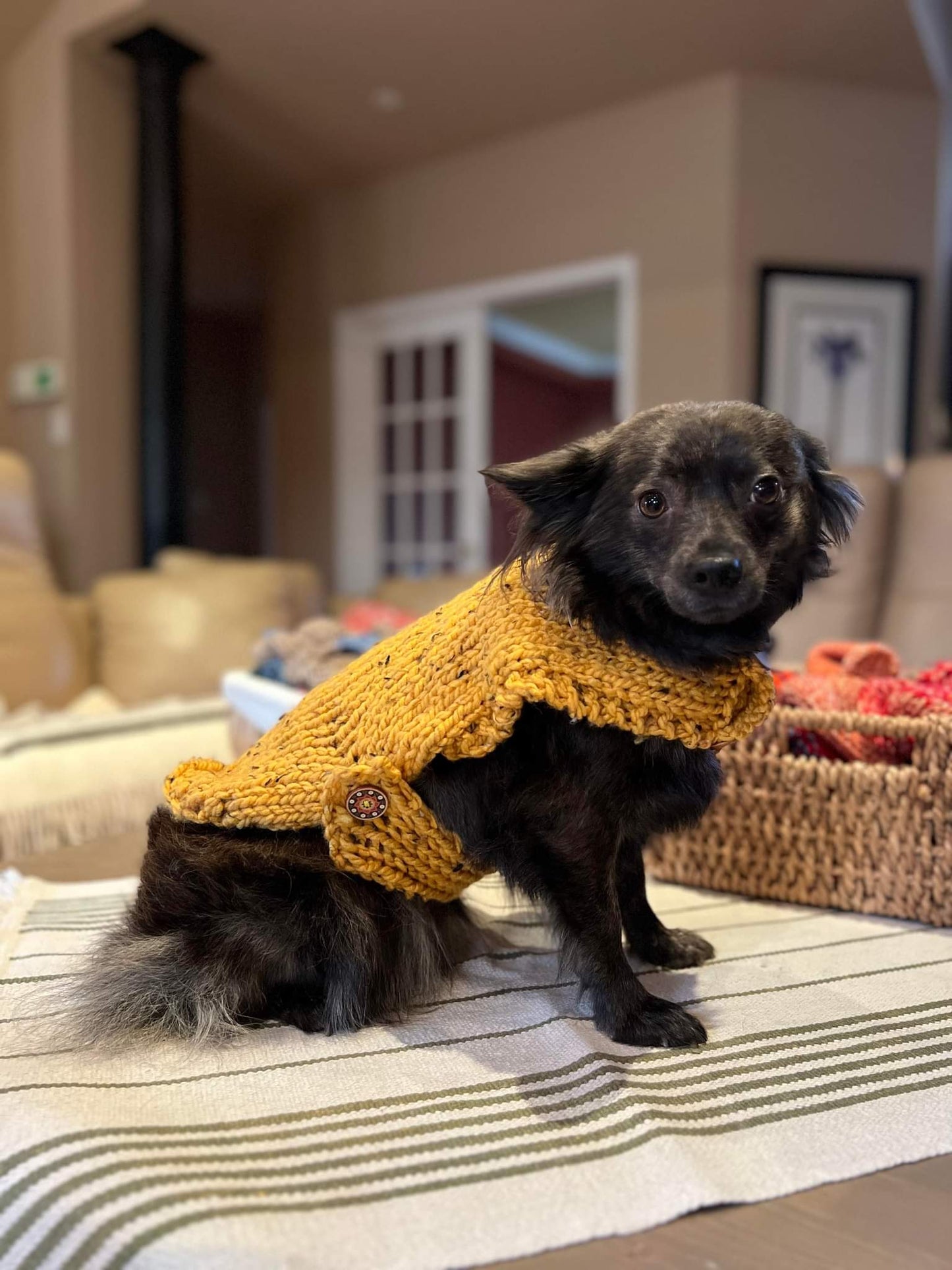 Dog Sweaters