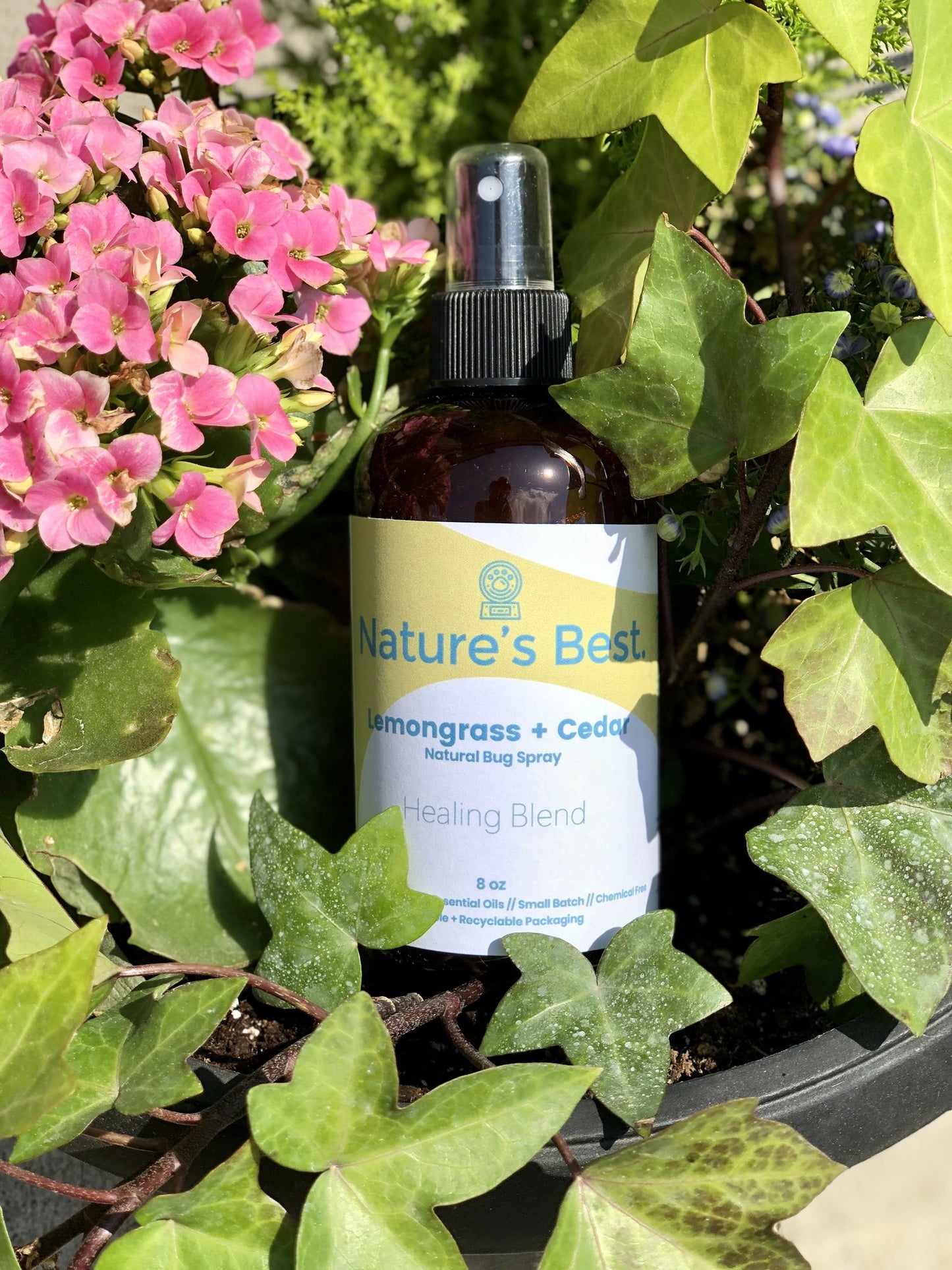 Dog Bug Sprays - by Nature's Best co