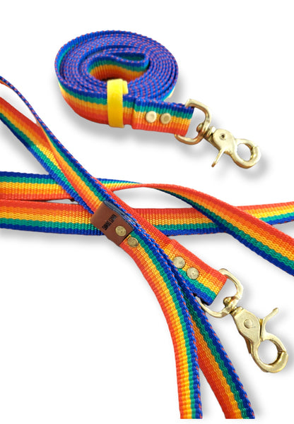 Rainbow Dog Leashes by Rivet Dawg