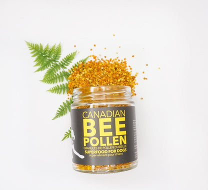 Dog Superfoods - Bee Pollen