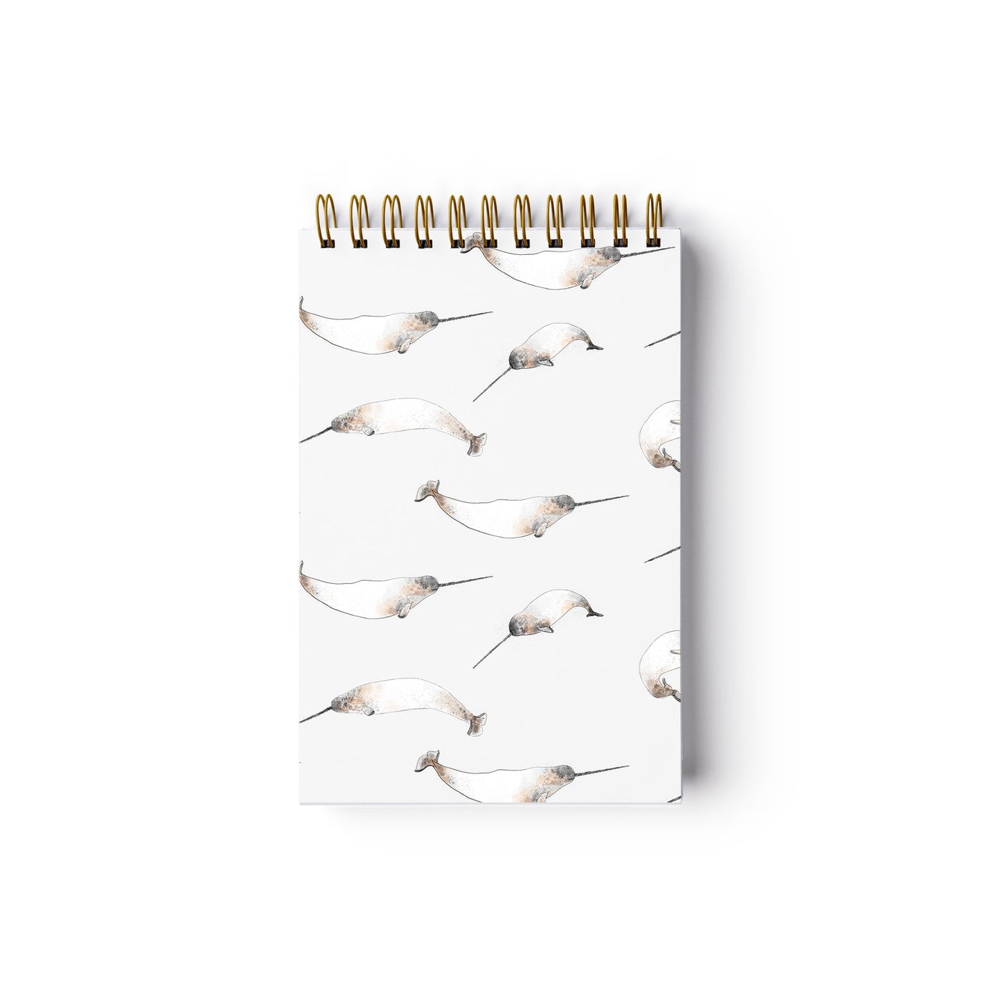 Reporter Notebook - Narwhals