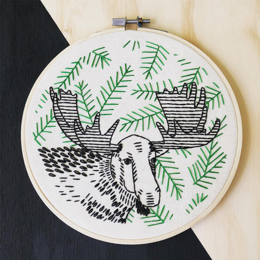 DIY Embroidery Kits