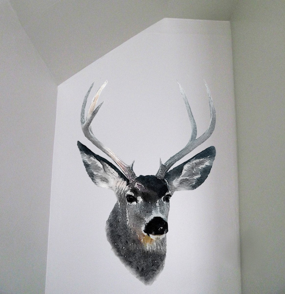Watercolour Wall Decals