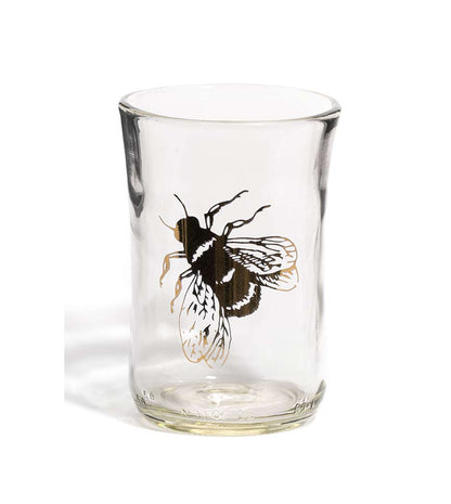 Beer Glass Tumblers - Gold