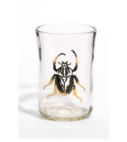 Beer Glass Tumblers - Gold