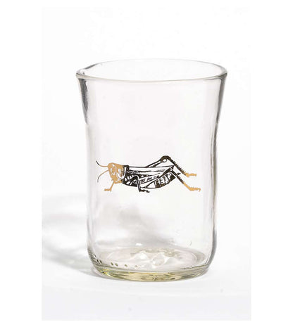 Beer Glass Tumblers - Gold