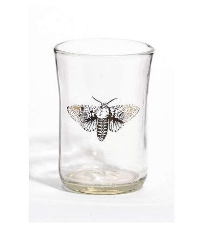 Beer Glass Tumblers - Gold