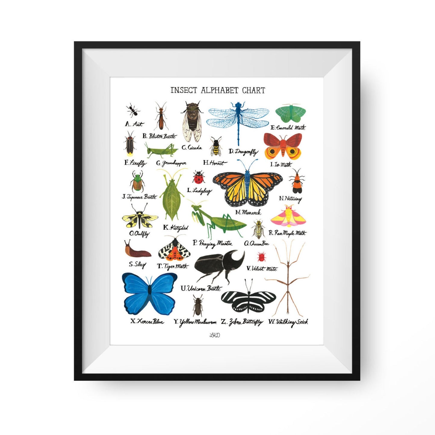 Alphabet Chart Prints - Lily Kao Designs