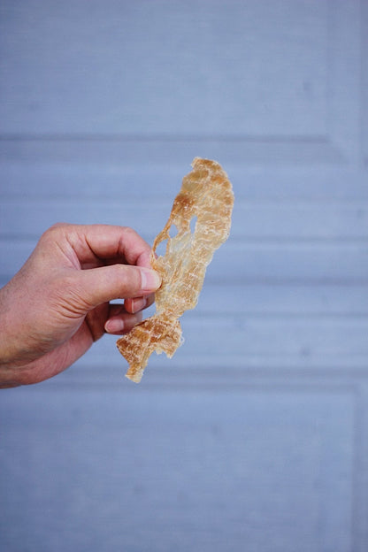 Treatoes Dog Treats - Chicken Breast Strips