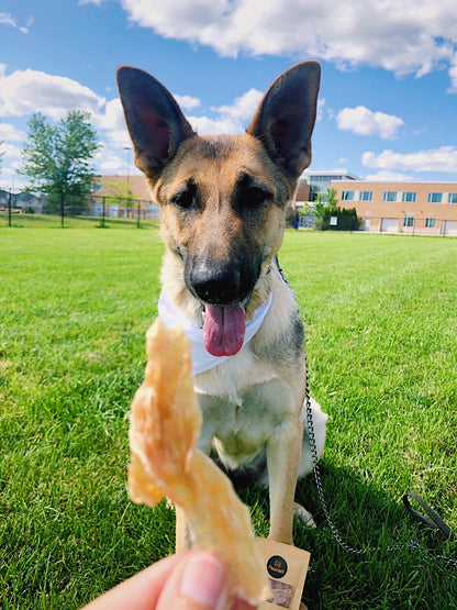 Treatoes Dog Treats - Chicken Breast Strips