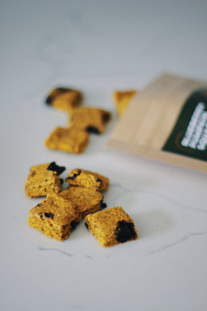 Treatoes Dog Treats - Blueberry Pumpkin Squares