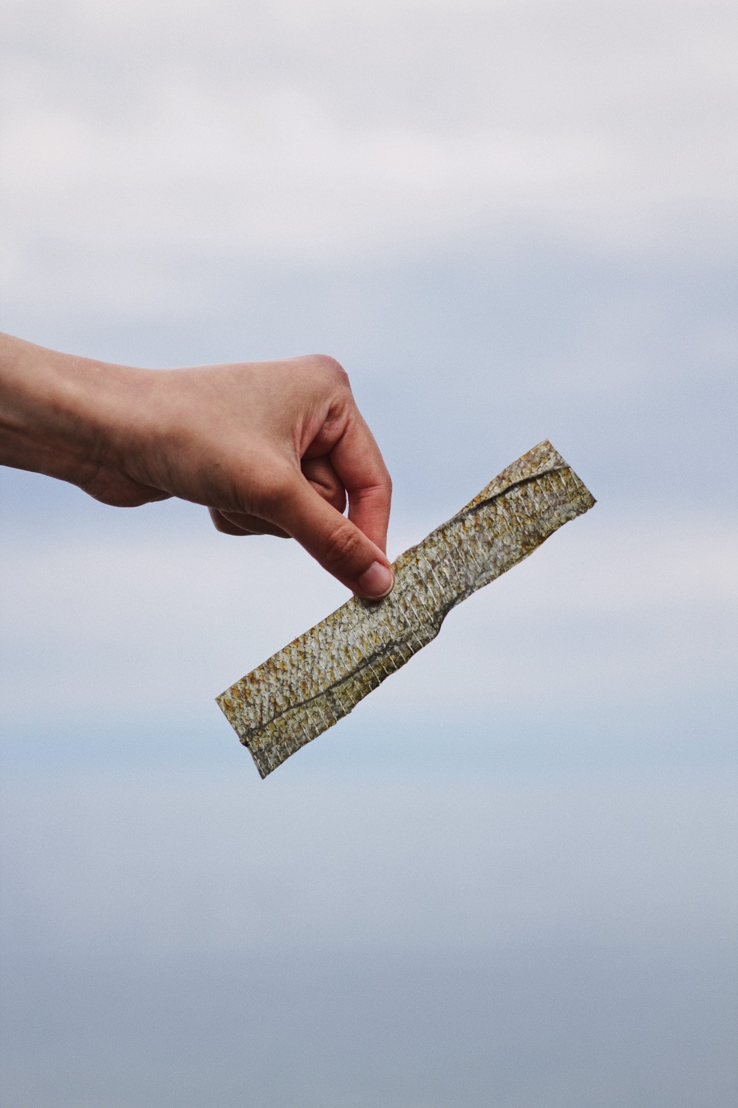 Treatoes Dog Treats - Salmon Skin Strips